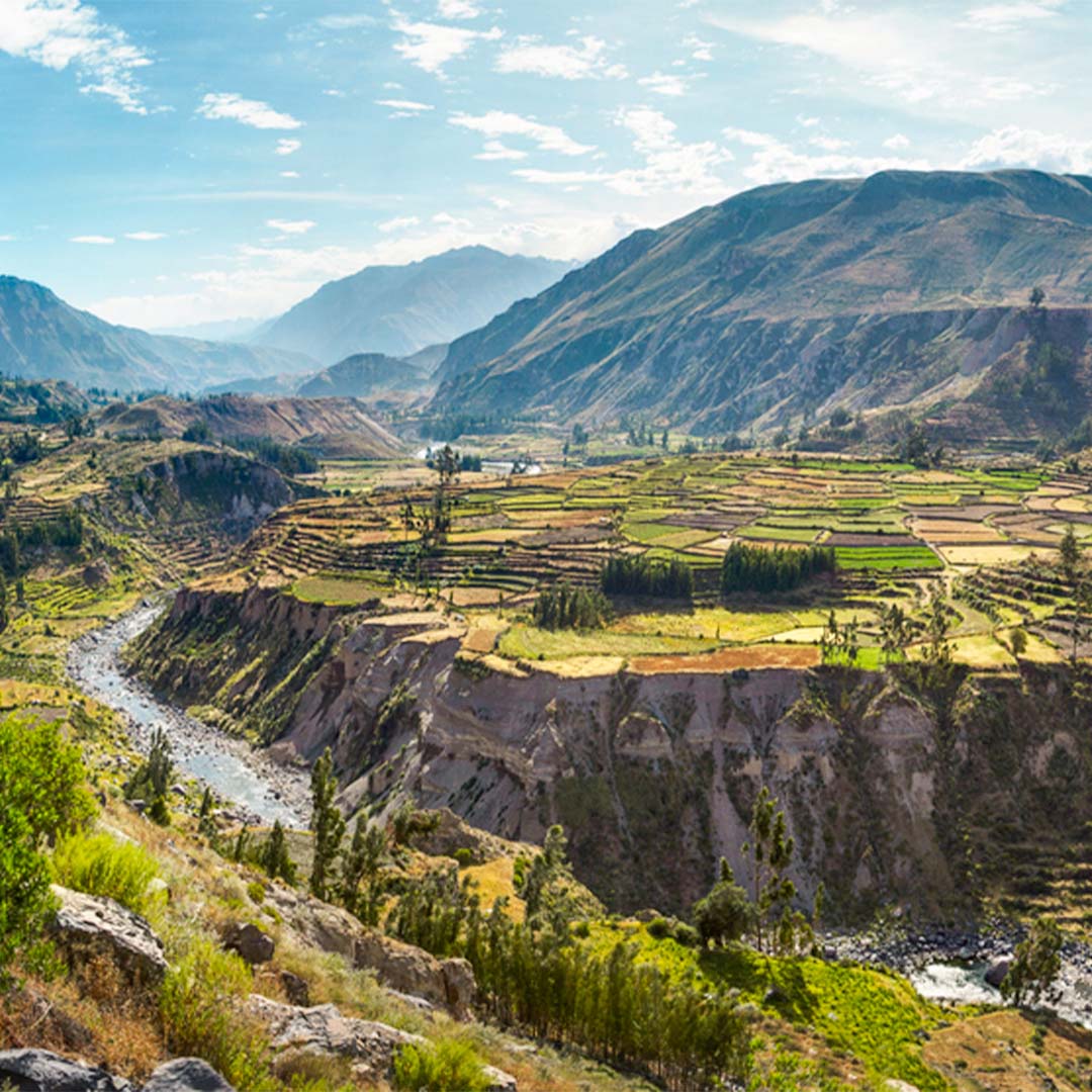 Colca Full Day